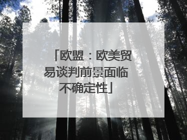 欧盟：欧美贸易谈判前景面临不确定性